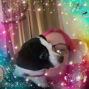 Meet your Posher, Wendy